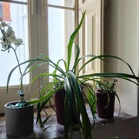 La Casa Di Francesca Appartement *